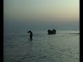 Ganges River Dolphin