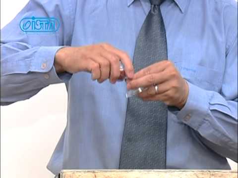 ISTA SNAIL TRAP (I-557) 60pcs/outer 