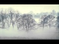 Laurent De Wilde - If i could
