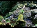 Toolona Creek Track - Virtualwalkabout
