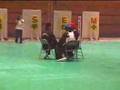 Military Martial art