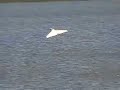 RC Float plane looks like a jet