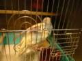 videos de 090104_1848~0001.m4v