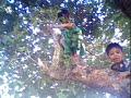 lipay\ lipay\