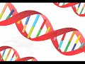 An analysis of the whales DNA, by a team headed by Stanford researchers, demonstrates that the current population of Antarctic minke whales is within the historical norm of the species over the last 100000 years. There is no evidence of a significant increase in the population of minke whales, the researchers said. Stanford University: www.stanford.edu Stanford News: news.stanford.edu Stanford University Channel on YouTube: www.youtube.com