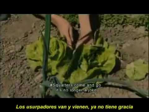 Imagen de previsualización de YouTube