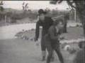  - MovieZen Video