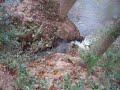 Beaver Dam Trickle into South River is growing
