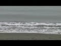 one cool wave