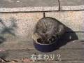 長介コンパクト化