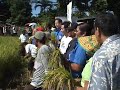 rice harvest festival 2008 by uncle organics corporation