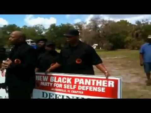 black panther