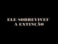 JURASSIC EDINHO 1.AVI