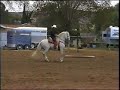 Caballos Bailadores