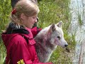 WOLF WALK by Freedomwest Studio