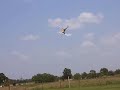 Me Flying Trex 450se with XPS System installed Me Flying Trex 450se with XPS System installed