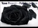 Tose Proeski 6te ostane zavinagi v sarcata ni !!! Tose Proeski 6te ostane zavinagi v sarcata ni !!!