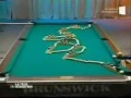 Amazing Pool Trick Shot! - Thumb #3