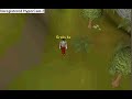 grats kenezie