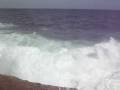 videos de Waves on Coggee to Bondi Walk