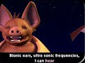 Echolocation Echolocation