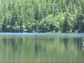 Applegate Lake, Jackson County, Oregon. Near Grants Pass, Or