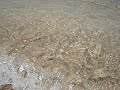 ormos panagias chalkidiki