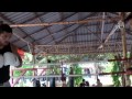 MMA / BJJ star Marcos Oliviera trains at Tiger Muay Thai and MMA