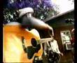 Cajun in the garden