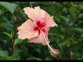 madinina sans stress madinina sans stress
