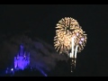 New Years Day 2010-2011 Fireworks at Magic Kingdom-Walt Disney World