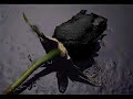 KingG - Lost in Love