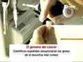 noticias cuatro_CUT.avi