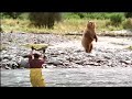 New John West Salmon Ad Bear vs Fisherman