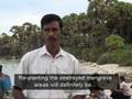 The Greenbelt Reports: Mangroves Are Forever