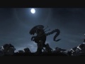 HALO 3 AILEN