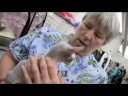 Cat Show - Sphinx Cat Show - Sphinx