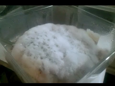 how to grow effective microorganisms