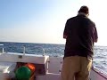 Fishing in arvor of salcombe , no fish again!