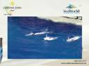 California Suites Hotel - San Diego's Value Price Leader