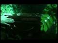 Winfried & Angelique - Pandora's magicbox (English Promo)