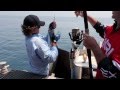 RED HOT SAILFISH ACTION