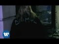Najwa Como Un Animal Video and Lyrics
