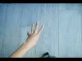 videos de Isonic