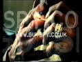 Guiy Montfort Lies, Theft, Fraud & Domestic Viloence