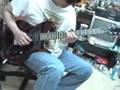 CHATREEO TEST WASHBURN WI14