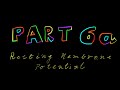 Part 6a - Resting Membrane Potential