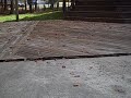 Tree in Deck