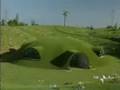 BOMBOLTUBBIES