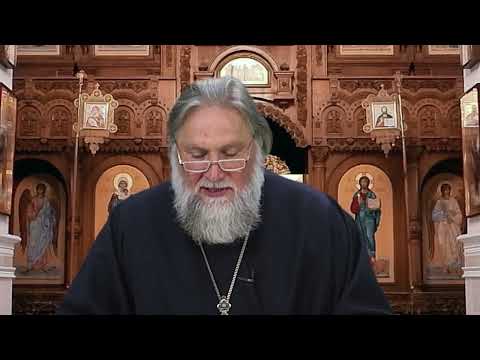 «Свет православия». 08.09.24. 1004 выпуск.